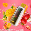 VOZOL Star 20000‌ Disposable Vape Wholesale - Image 6