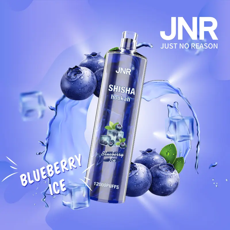 Jnr Shisha 12000 Electronic Cigarette - 12000 Puffs, 24ml E-Liquid, 0%-2% Nicotine, 30 Flavors, 750mAh Battery